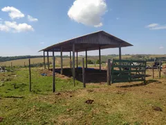 Fazenda / Sítio / Chácara com 4 Quartos à venda, 435600m² no Zona Rural, Cássia dos Coqueiros - Foto 16