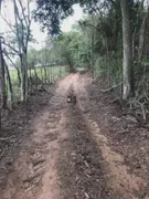 Fazenda / Sítio / Chácara à venda, 1120000m² no Sao Jose, Barbacena - Foto 12