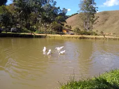 Fazenda / Sítio / Chácara com 2 Quartos à venda, 240000m² no Pouso Alto, Natividade da Serra - Foto 67