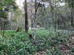 Fazenda / Sítio / Chácara à venda, 196000m² no Avenida Central, Gramado - Foto 4