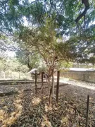 Terreno / Lote / Condomínio à venda, 2069m² no Cachoeira, São José da Lapa - Foto 22