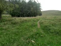 Fazenda / Sítio / Chácara com 3 Quartos à venda, 300m² no Boa Esperança, Rio Bonito - Foto 4