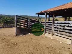 Fazenda / Sítio / Chácara com 1 Quarto à venda, 4694800m² no Zona Rural, Urutaí - Foto 5