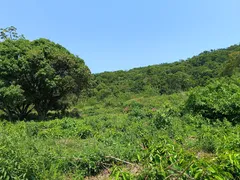 Fazenda / Sítio / Chácara à venda, 75000m² no Ilha de Guaratiba, Rio de Janeiro - Foto 20