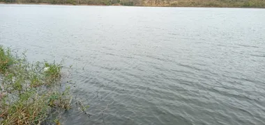 Fazenda / Sítio / Chácara com 3 Quartos à venda, 5000m² no Zona Rural, Corumbá de Goiás - Foto 3