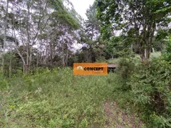 Fazenda / Sítio / Chácara com 4 Quartos à venda, 9000m² no Estância Piratininga, Suzano - Foto 14