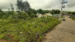 Terreno / Lote / Condomínio à venda, 405m² no Linha Imperial, Nova Petrópolis - Foto 8