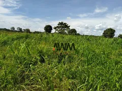 Fazenda / Sítio / Chácara à venda, 2758800m² no Zona Rural, Jussara - Foto 4