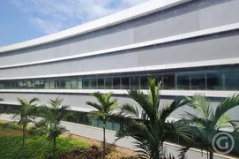 Conjunto Comercial / Sala para alugar, 44m² no Cacupé, Florianópolis - Foto 8