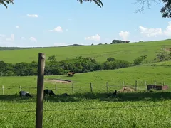 Fazenda / Sítio / Chácara com 3 Quartos à venda, 70m² no , São Pedro - Foto 10