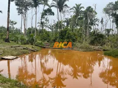 Fazenda / Sítio / Chácara à venda, 20000m² no Area Rural de Porto Velho, Porto Velho - Foto 7