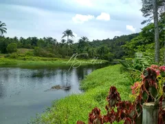 Fazenda / Sítio / Chácara com 4 Quartos à venda, 43000m² no Centro, Valença - Foto 4