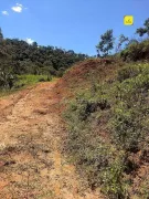 Terreno / Lote / Condomínio à venda, 5000m² no Torreoes, Juiz de Fora - Foto 1