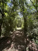 Fazenda / Sítio / Chácara com 2 Quartos à venda, 30000m² no Zona Rural, Campo Alegre - Foto 21