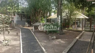 Fazenda / Sítio / Chácara com 3 Quartos à venda, 200m² no Valparaiso, Uberlândia - Foto 1