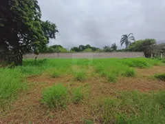 Terreno / Lote / Condomínio à venda, 1000m² no Morada dos Pássaros, Uberlândia - Foto 5