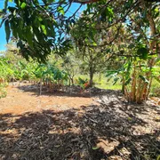 Fazenda / Sítio / Chácara com 3 Quartos à venda, 3000m² no Santa Terezinha de Minas, Itatiaiuçu - Foto 2