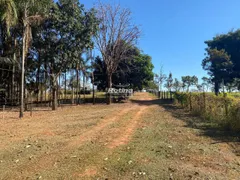 Fazenda / Sítio / Chácara com 2 Quartos à venda, 180m² no Chácaras Eldorado, Uberlândia - Foto 2
