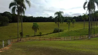 Fazenda / Sítio / Chácara com 2 Quartos à venda, 420m² no 4 Km do Centro, Embu-Guaçu - Foto 46