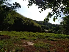 Fazenda / Sítio / Chácara com 3 Quartos à venda, 41000m² no Voldac, Volta Redonda - Foto 11