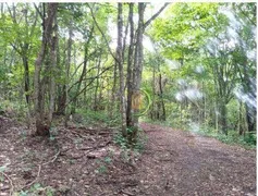 Fazenda / Sítio / Chácara à venda, 2492600m² no Zona Rural, Luziânia - Foto 7