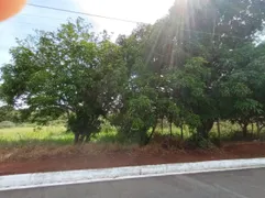 Terreno / Lote / Condomínio com 1 Quarto à venda, 360m² no Monte Sinai, Igarapé - Foto 2