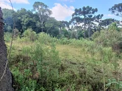 Fazenda / Sítio / Chácara com 1 Quarto à venda, 5000m² no Campo Largo da Roseira, São José dos Pinhais - Foto 2