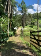 Fazenda / Sítio / Chácara com 3 Quartos à venda, 50000m² no Cachoeira, Santa Isabel - Foto 17