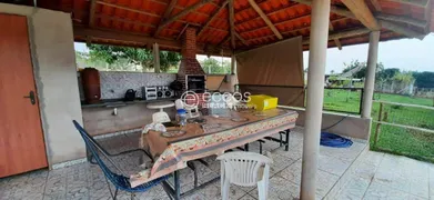 Fazenda / Sítio / Chácara com 3 Quartos à venda, 7500m² no Chácaras Eldorado, Uberlândia - Foto 15