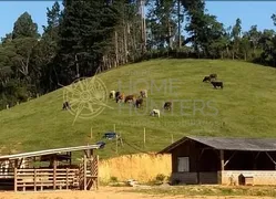 Fazenda / Sítio / Chácara com 2 Quartos à venda, 80m² no Zona Rural, Campo Alegre - Foto 28