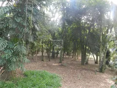Fazenda / Sítio / Chácara com 5 Quartos à venda, 640m² no Parque Valinhos, Valinhos - Foto 33