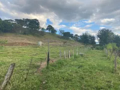 Fazenda / Sítio / Chácara com 3 Quartos à venda, 6m² no Centro, São Simão - Foto 19