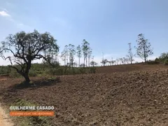 Fazenda / Sítio / Chácara com 1 Quarto à venda, 92000m² no Turvinho, Pilar do Sul - Foto 9