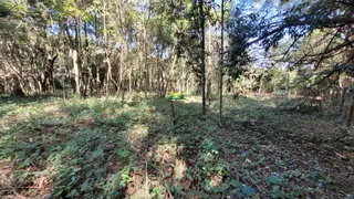 Terreno / Lote / Condomínio à venda no Condomínio Recanto da Serra, Brumadinho - Foto 6