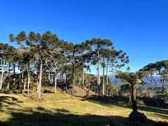 Fazenda / Sítio / Chácara à venda, 20000m² no Zona Rural, Urubici - Foto 9