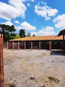 Fazenda / Sítio / Chácara com 8 Quartos à venda, 14520000m² no Nossa Senhora dos Remedios, Salesópolis - Foto 20