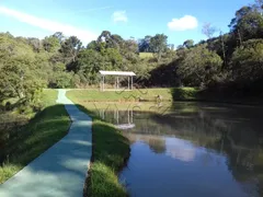 Casa Comercial à venda, 45824m² no Areia Branca dos Assis, Mandirituba - Foto 17