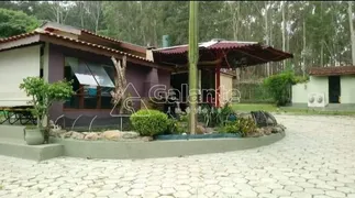 Fazenda / Sítio / Chácara com 5 Quartos à venda, 520m² no Jardim Carlos Gomes, Campinas - Foto 3