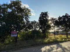 Terreno / Lote / Condomínio à venda, 10000m² no Vale das Brisas, Senador Canedo - Foto 5