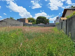 Terreno / Lote / Condomínio à venda, 491m² no Vila Margarida, Campo Grande - Foto 6