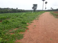 Terreno / Lote Comercial à venda, 20000m² no Centro, Jaboticatubas - Foto 7