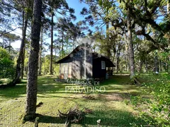 Fazenda / Sítio / Chácara com 3 Quartos à venda, 20000m² no Saltinho, Campo Alegre - Foto 27