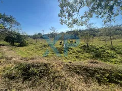 Fazenda / Sítio / Chácara com 3 Quartos à venda, 200m² no Santo Antônio dos Campos, Divinópolis - Foto 42