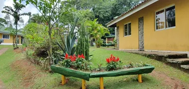 Fazenda / Sítio / Chácara com 4 Quartos à venda, 185000m² no Zona Rural, Marechal Floriano - Foto 3