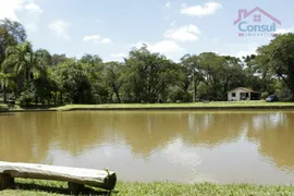 Fazenda / Sítio / Chácara com 3 Quartos à venda, 168000m² no Salgadinho, Campo Largo - Foto 35