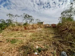 Terreno / Lote / Condomínio para alugar, 175m² no Jardim Cristo Redentor, Ribeirão Preto - Foto 4