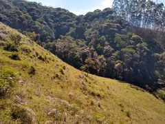 Fazenda / Sítio / Chácara com 2 Quartos à venda, 240000m² no Pouso Alto, Natividade da Serra - Foto 55