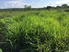 Fazenda / Sítio / Chácara com 2 Quartos à venda, 23000m² no Zona Rural, Rosário Oeste - Foto 13