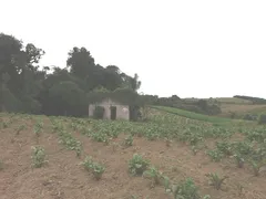 Fazenda / Sítio / Chácara com 1 Quarto à venda, 19400m² no Colônia Malhada, São José dos Pinhais - Foto 1