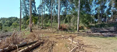 Fazenda / Sítio / Chácara à venda, 1200m² no Vale das Colinas, Gramado - Foto 2